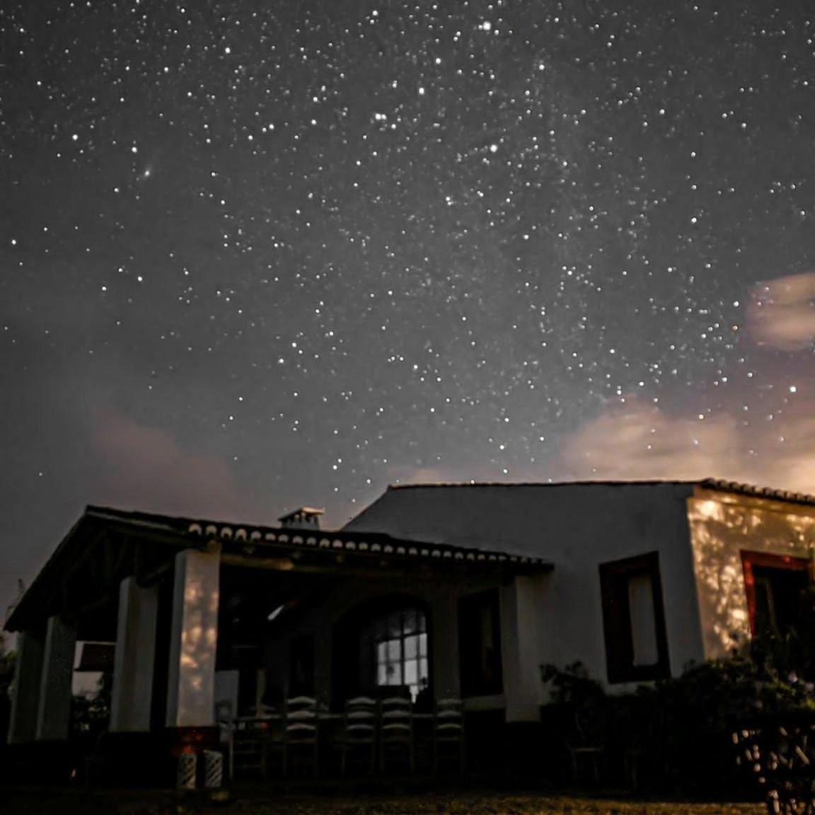 Quinta Da Chamine Otel Ferreira Do Alentejo Dış mekan fotoğraf