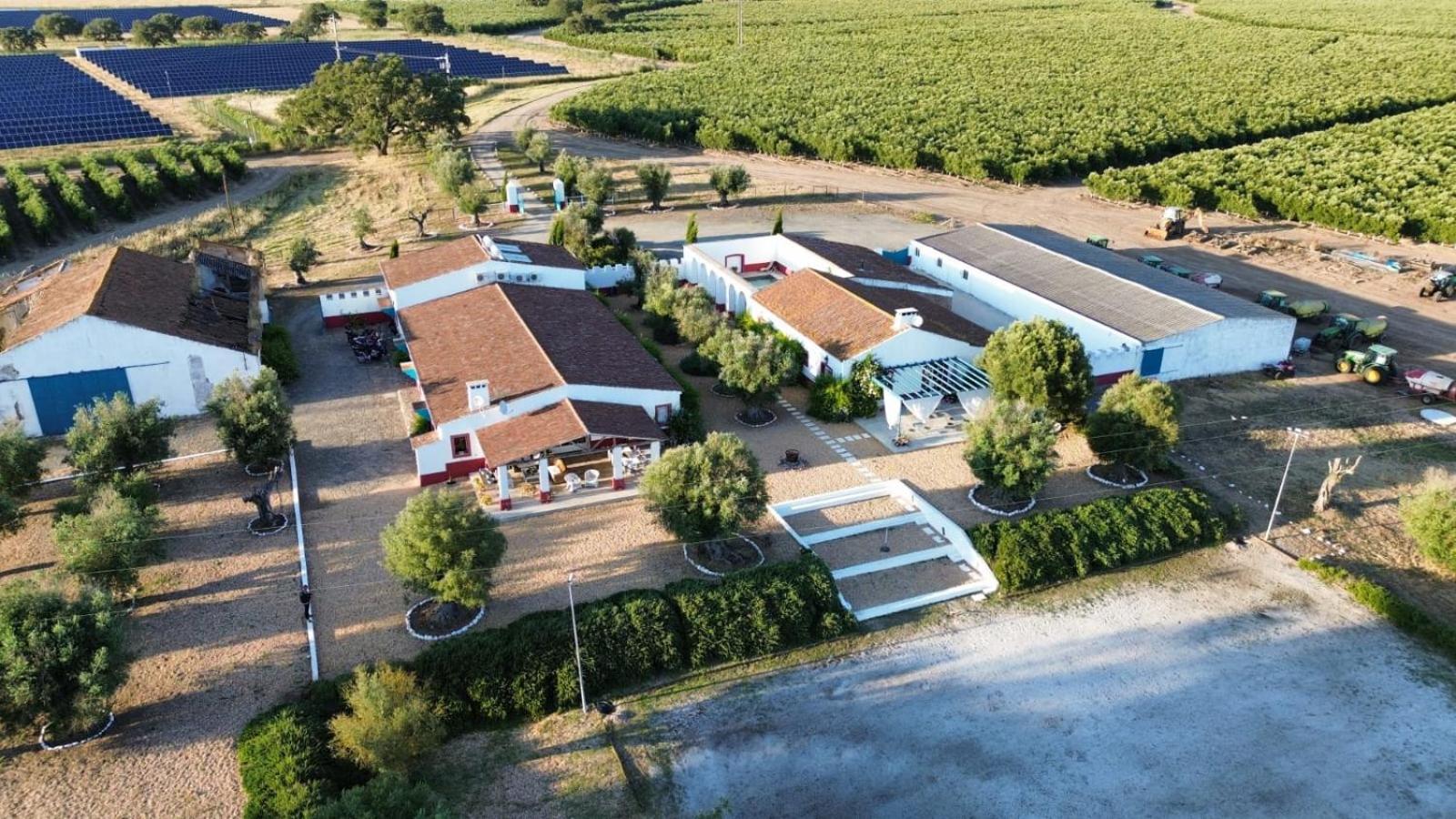 Quinta Da Chamine Otel Ferreira Do Alentejo Dış mekan fotoğraf