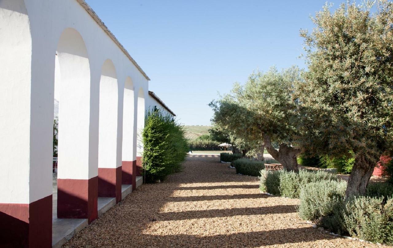 Quinta Da Chamine Otel Ferreira Do Alentejo Dış mekan fotoğraf